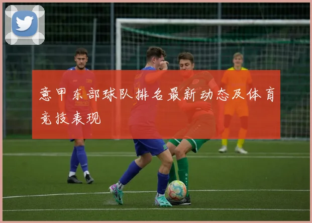 意甲东部球队排名最新动态及体育竞技表现