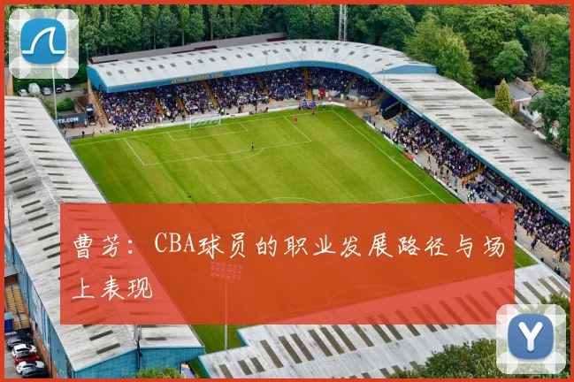 曹芳：CBA球员的职业发展路径与场上表现