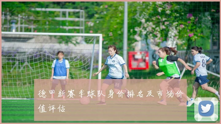 德甲新赛季球队身价排名及市场价值评估