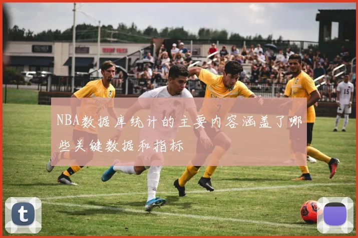NBA数据库统计的主要内容涵盖了哪些关键数据和指标