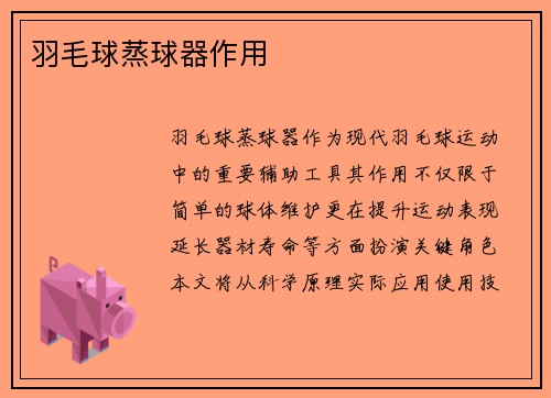 羽毛球蒸球器作用